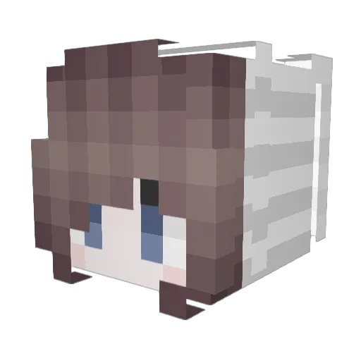 jovvee Minecraft avatar head, 3D render