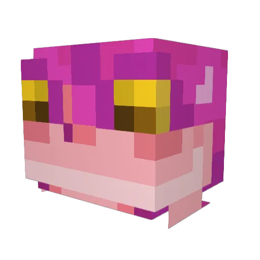 joy696969420 Minecraft avatar head, 3D render
