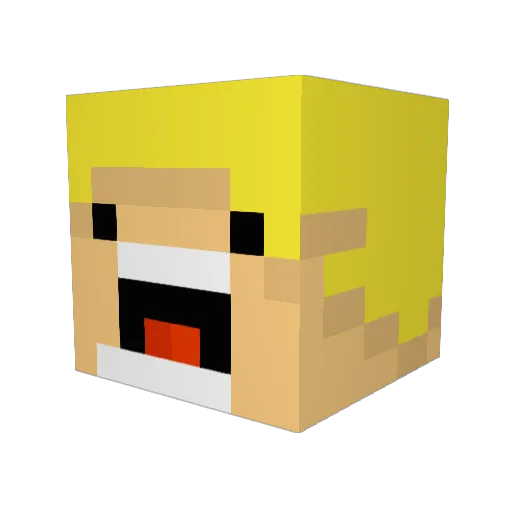 joyconbro Minecraft avatar head, 3D render
