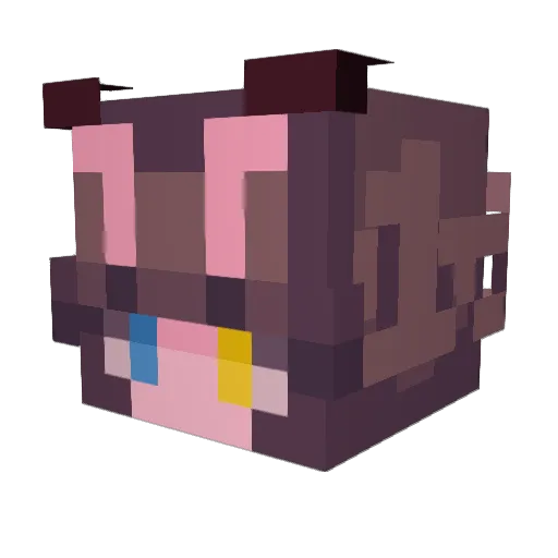 joyfish_ Minecraft avatar head, 3D render