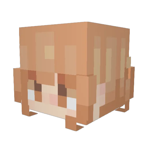 jozllie Minecraft avatar head, 3D render