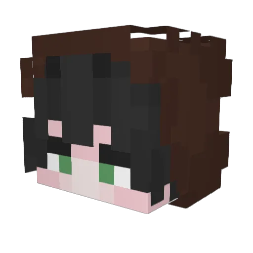 jpat1203 Minecraft avatar head, 3D render