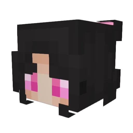 jpicklez Minecraft avatar head, 3D render