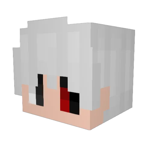 jpirate1614 Minecraft avatar head, 3D render