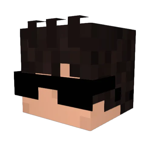 jpninja8 Minecraft avatar head, 3D render