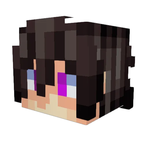 jpro199 Minecraft avatar head, 3D render
