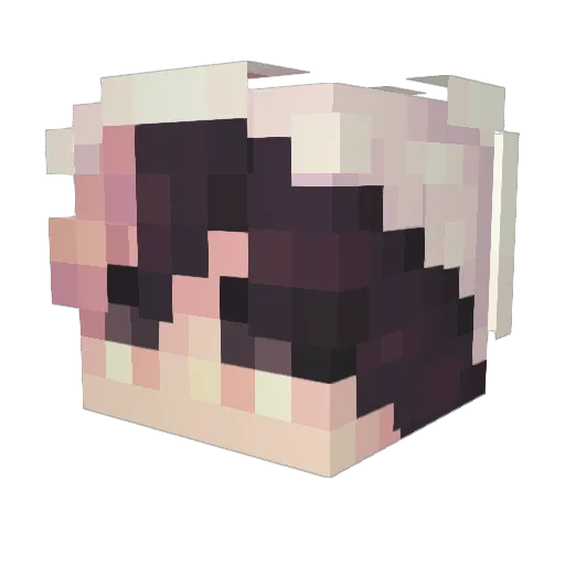 jprvalente Minecraft avatar head, 3D render