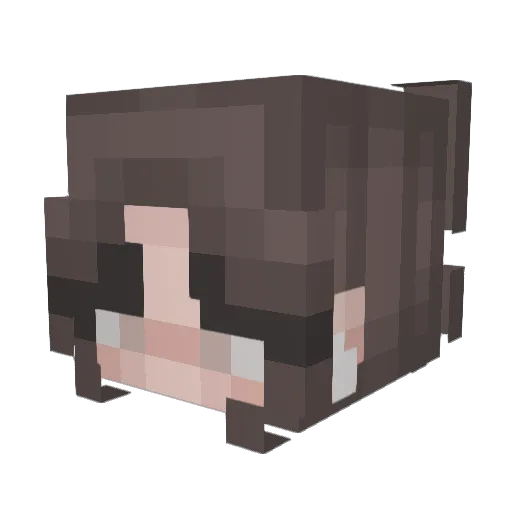 jpw2310 Minecraft avatar head, 3D render