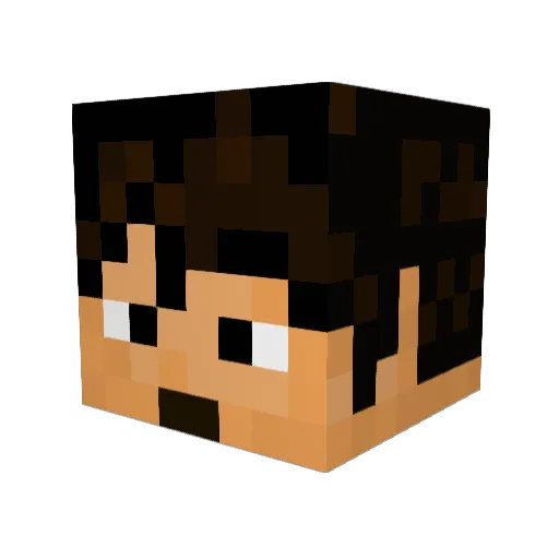 jpza245 Minecraft avatar head, 3D render