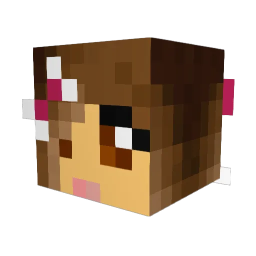 jqueenelsa13 Minecraft avatar head, 3D render