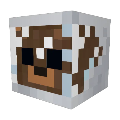 jr7420 Minecraft avatar head, 3D render