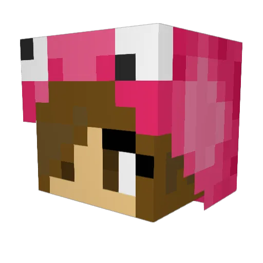jr_go03 Minecraft avatar head, 3D render