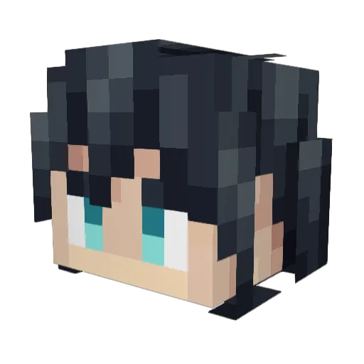 jr_rookie Minecraft avatar head, 3D render