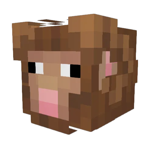 jrams90 Minecraft avatar head, 3D render