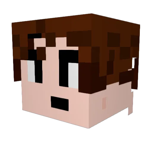 jrandyanderson Minecraft avatar head, 3D render