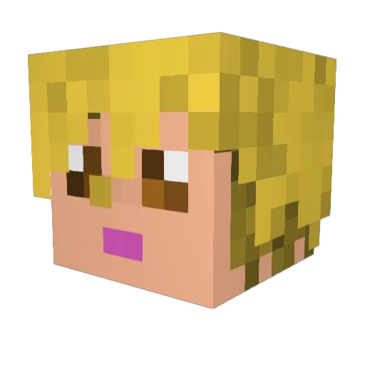 jrb531 Minecraft avatar head, 3D render