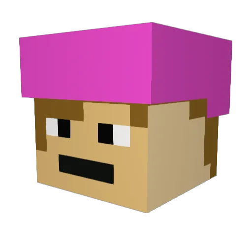 jrich155 Minecraft avatar head, 3D render