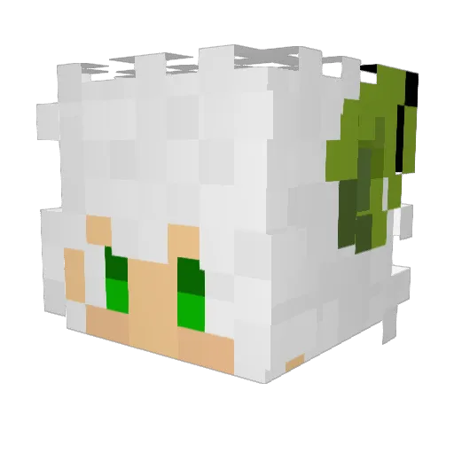 jrl123 Minecraft avatar head, 3D render