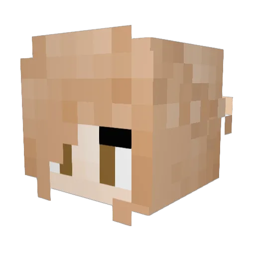 jrm179 Minecraft avatar head, 3D render