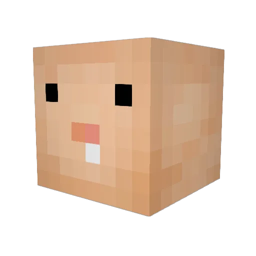 jrmacker Minecraft avatar head, 3D render