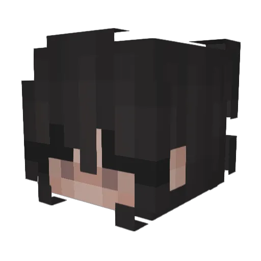 jrose708 Minecraft avatar head, 3D render