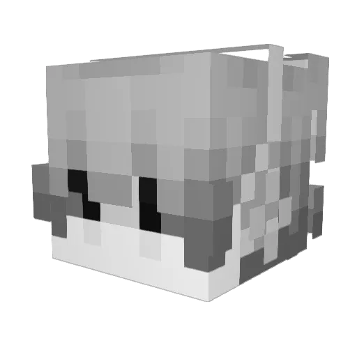 jrrk Minecraft avatar head, 3D render