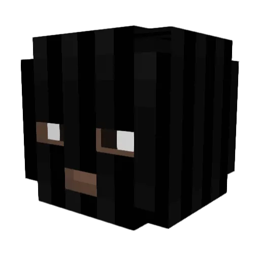 jrshiestyy Minecraft avatar head, 3D render