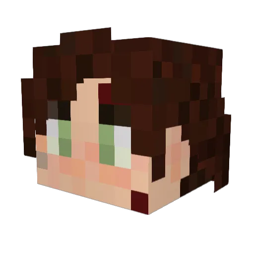 jrskycro14 Minecraft avatar head, 3D render