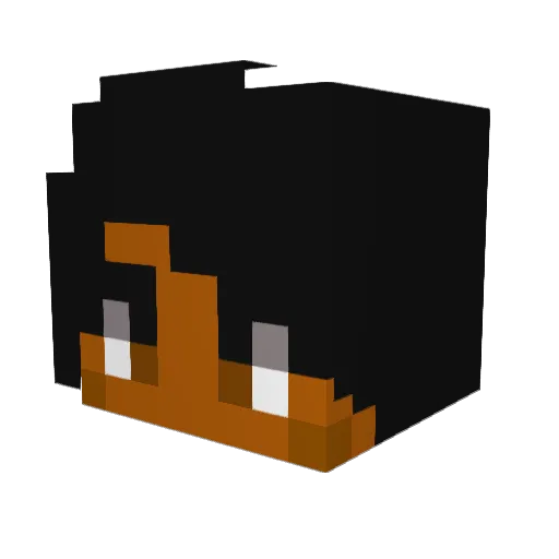 jsaladPR Minecraft avatar head, 3D render
