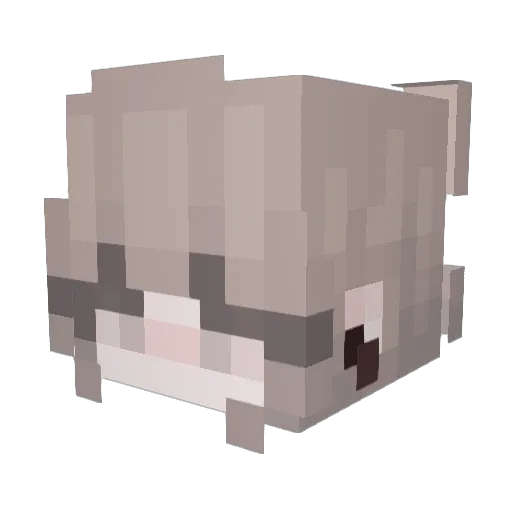 jsca Minecraft avatar head, 3D render