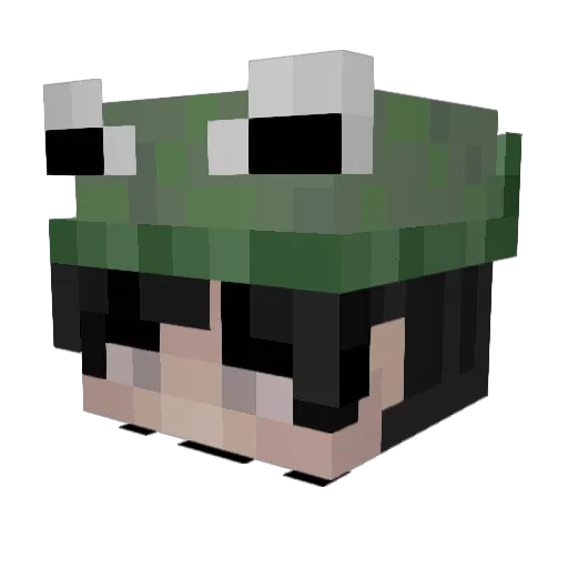 jsf1sh Minecraft avatar head, 3D render