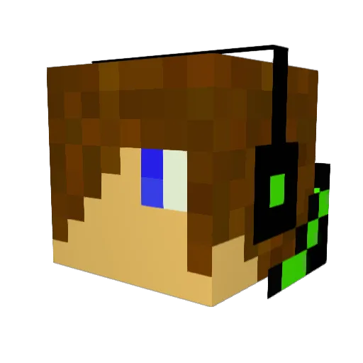 jshark98 Minecraft avatar head, 3D render