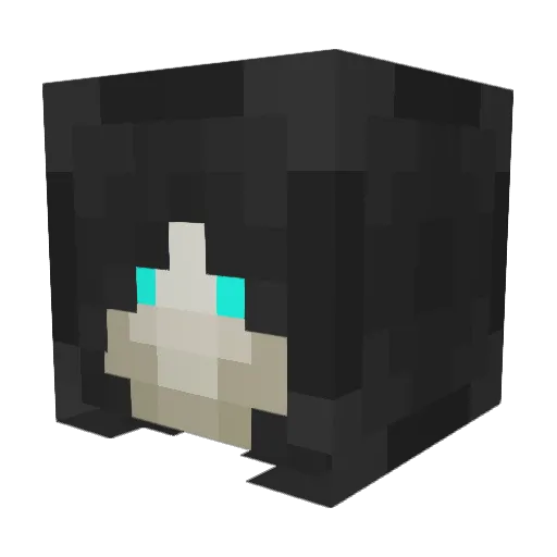 jsharkey13 Minecraft avatar head, 3D render