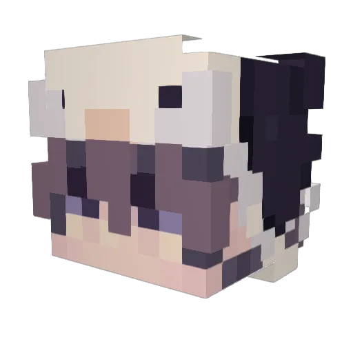 jshjsh5378 Minecraft avatar head, 3D render
