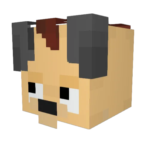 jshssa Minecraft avatar head, 3D render