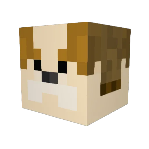 jsjs0807 Minecraft avatar head, 3D render