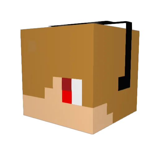 jsnx Minecraft avatar head, 3D render