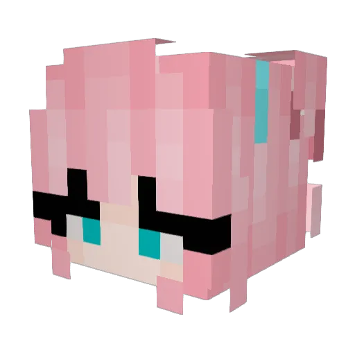 jssjwxc Minecraft avatar head, 3D render