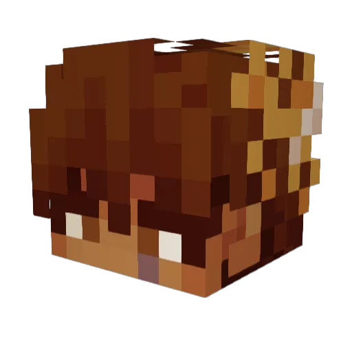 Minecraft-Avatar von jsuu: Kopf als 3D-Render