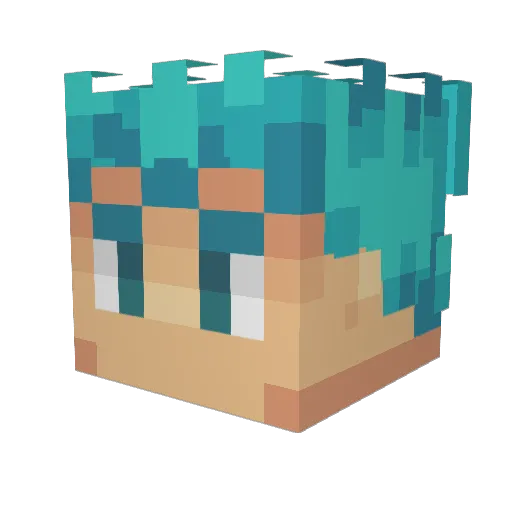 jtb2311 Minecraft avatar head, 3D render