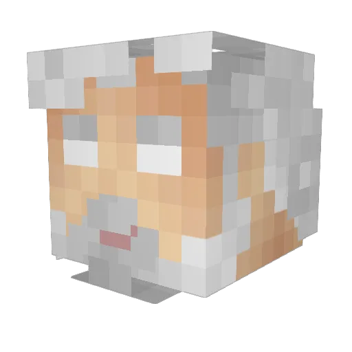 jtbccp Minecraft avatar head, 3D render
