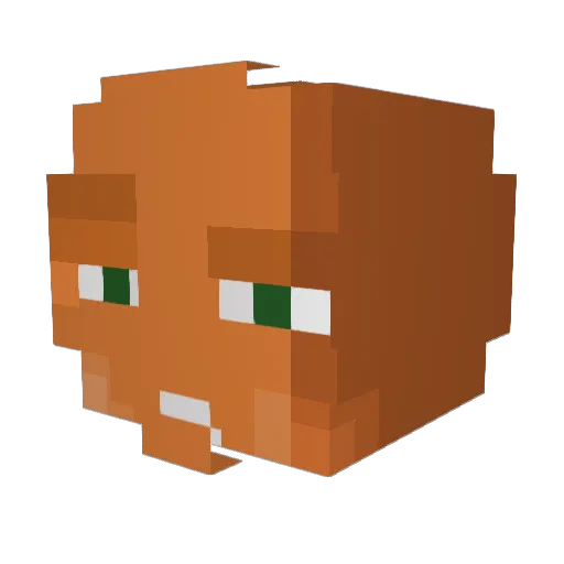 jterkuc Minecraft avatar head, 3D render