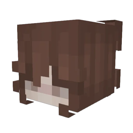 jtizzleee Minecraft avatar head, 3D render