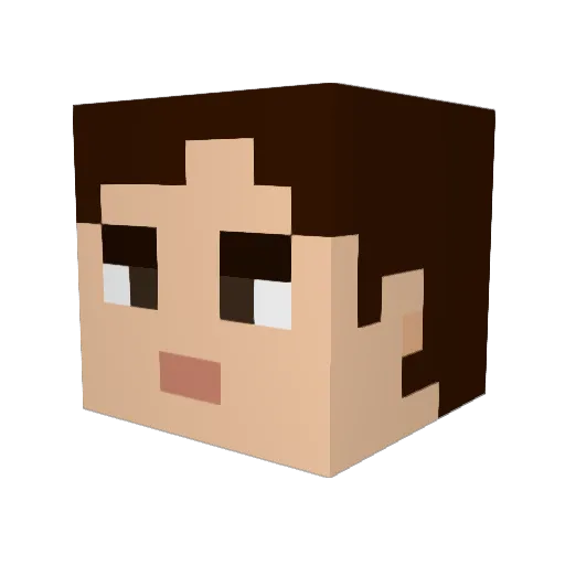 jtopping84 Minecraft avatar head, 3D render
