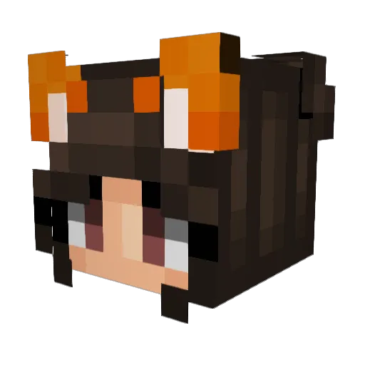 jttln_Tifun Minecraft avatar head, 3D render