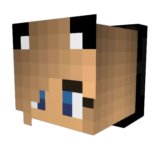 jtturbo09 Minecraft avatar head, 3D render