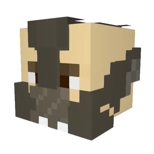 jtvu1998 Minecraft avatar head, 3D render