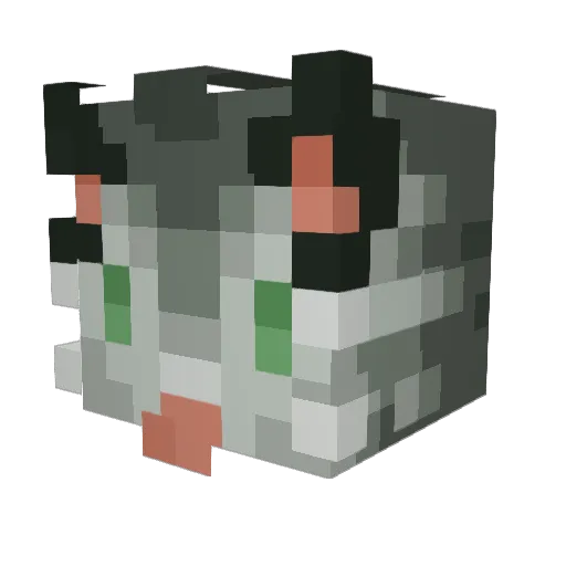 juan______ Minecraft avatar head, 3D render