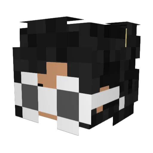 jud_ Minecraft avatar head, 3D render