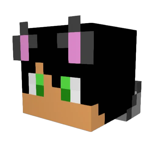 juddyboy1 Minecraft avatar head, 3D render